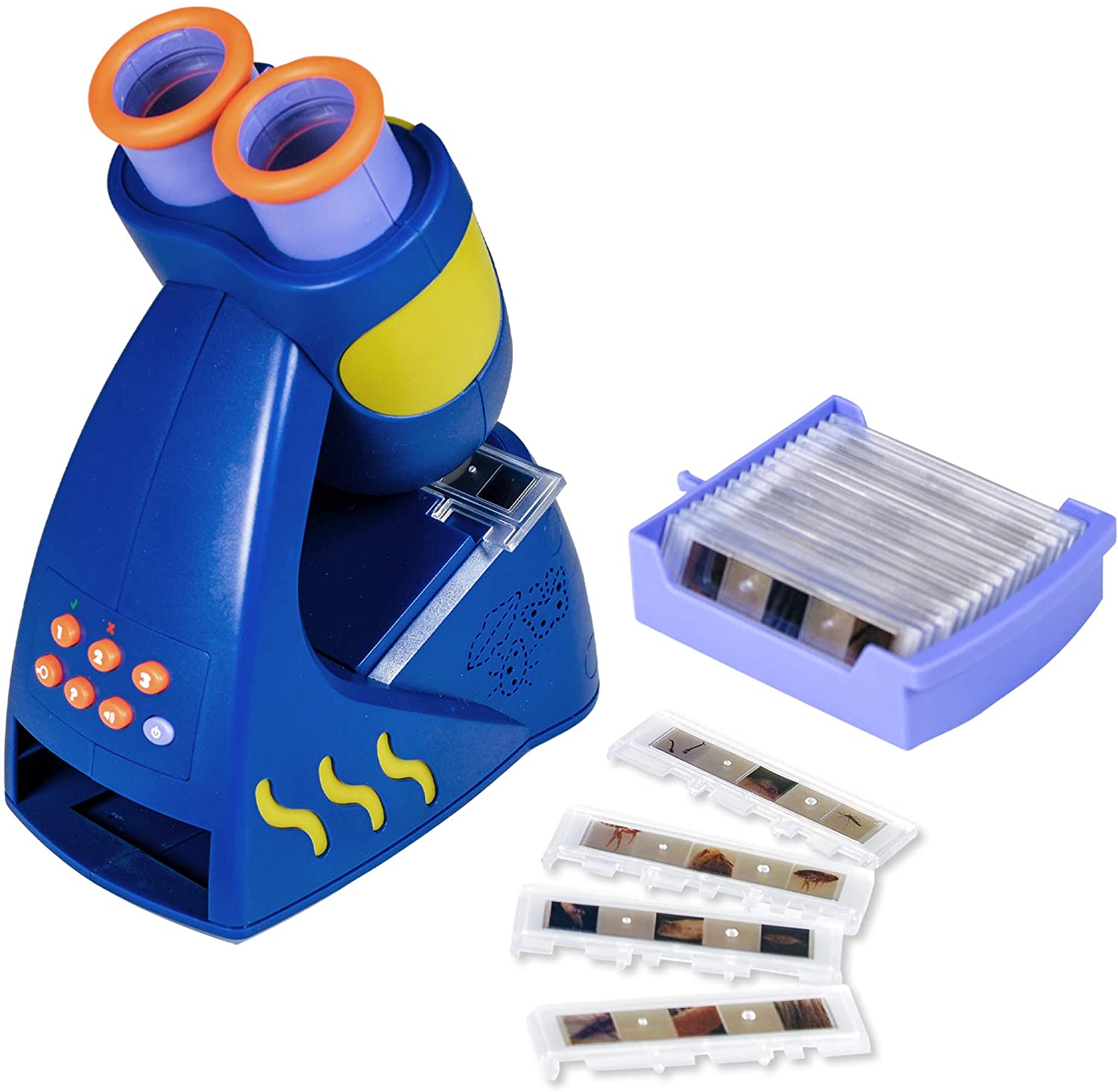 Kid's Portable Microscope Kit - Befez