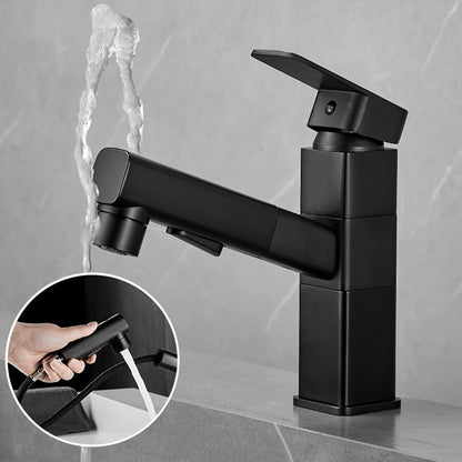 Modern Single Handle Bathroom Faucet with Spray Head
