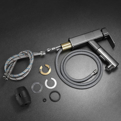 Modern Single Handle Bathroom Faucet with Spray Head
