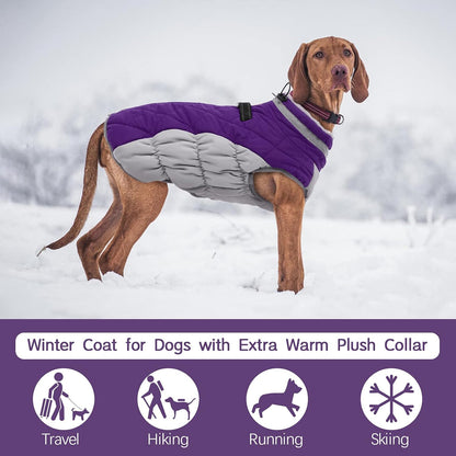 Warm Waterproof Dog Coat with Reflective Strip