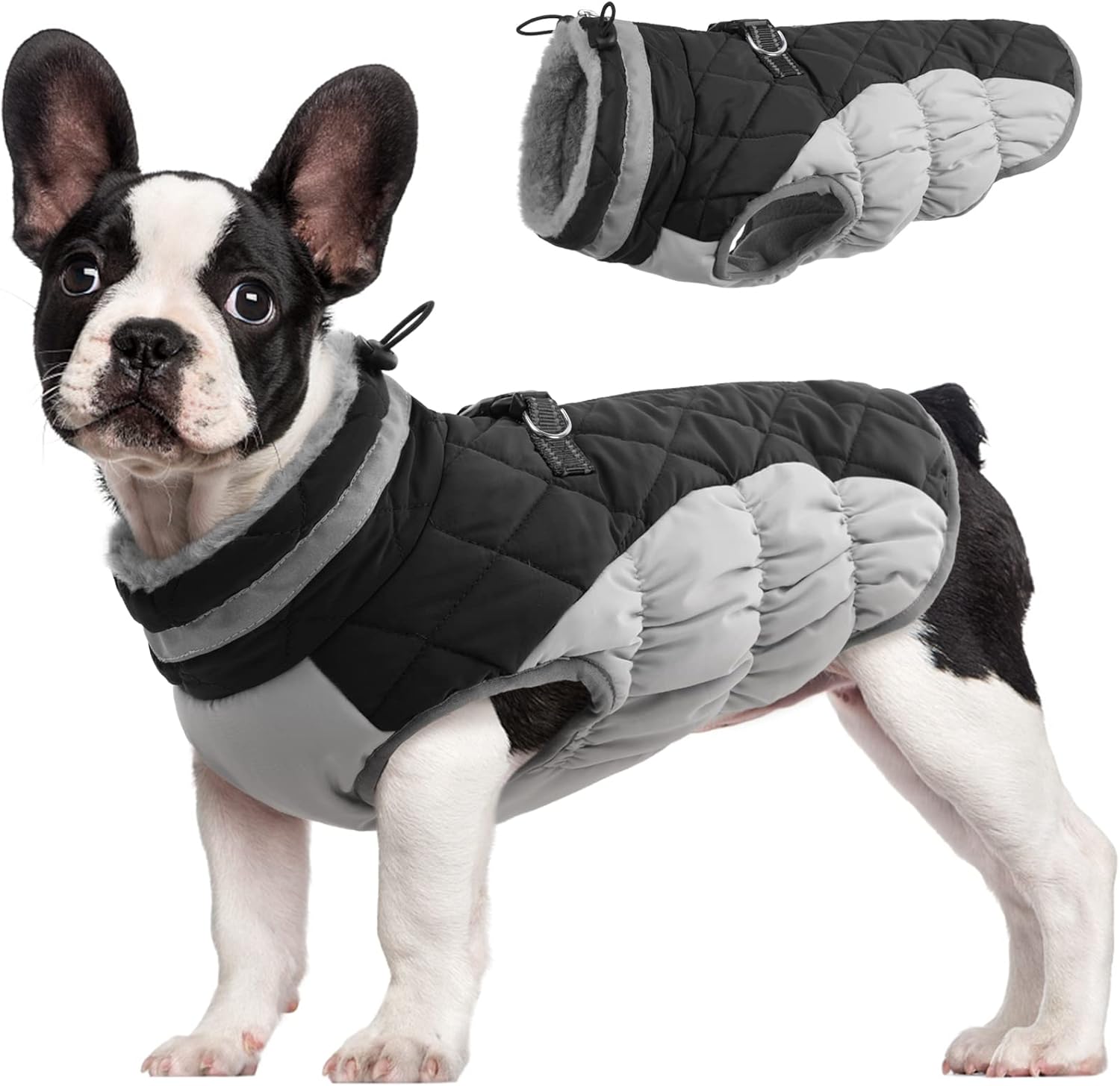 Warm Waterproof Dog Coat with Reflective Strip - Befez