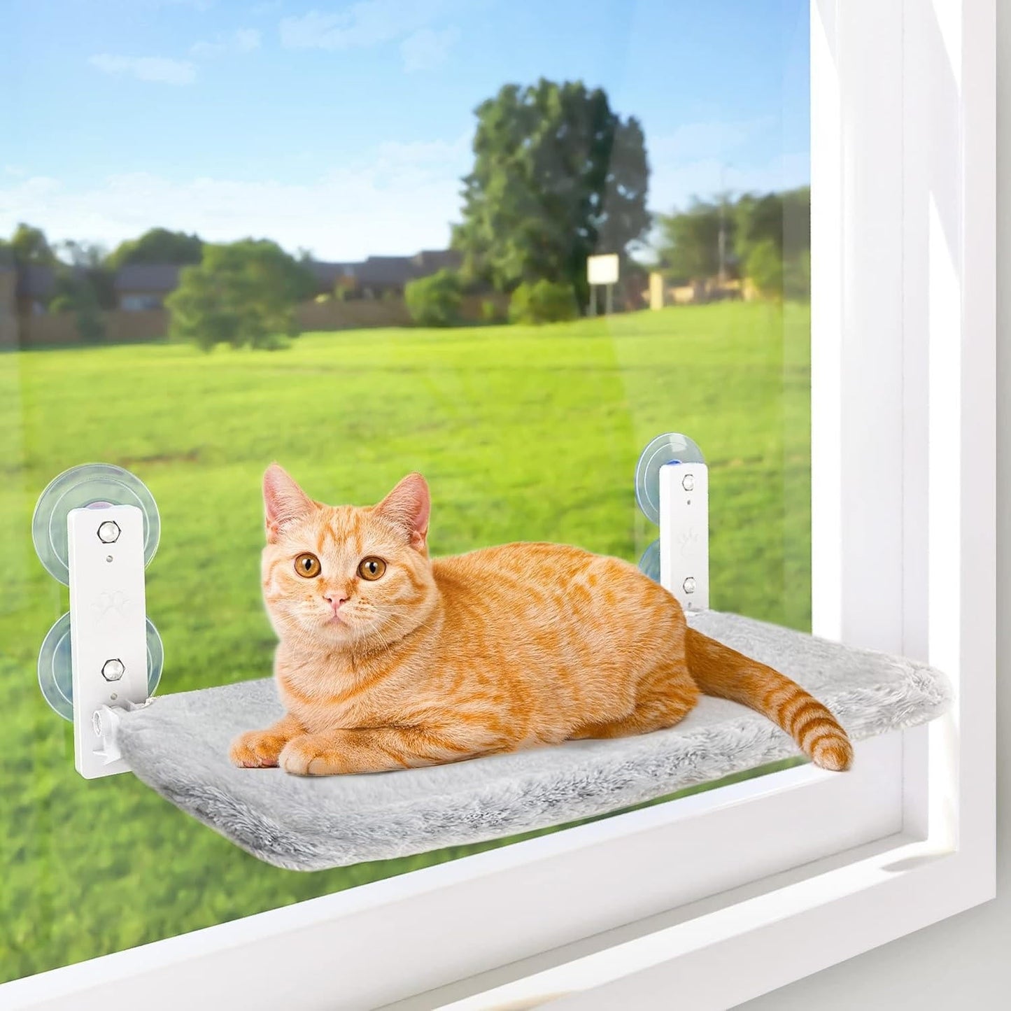 Cozy Pet Window Bed - Befez