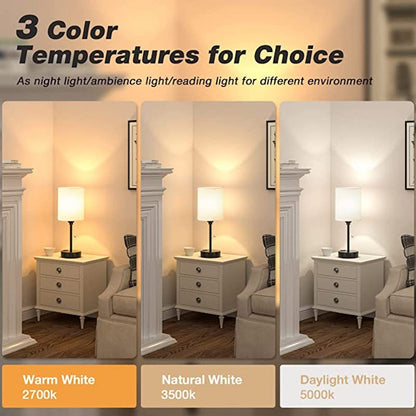 Stylish Desk Lamp with USB Charging and Color Options