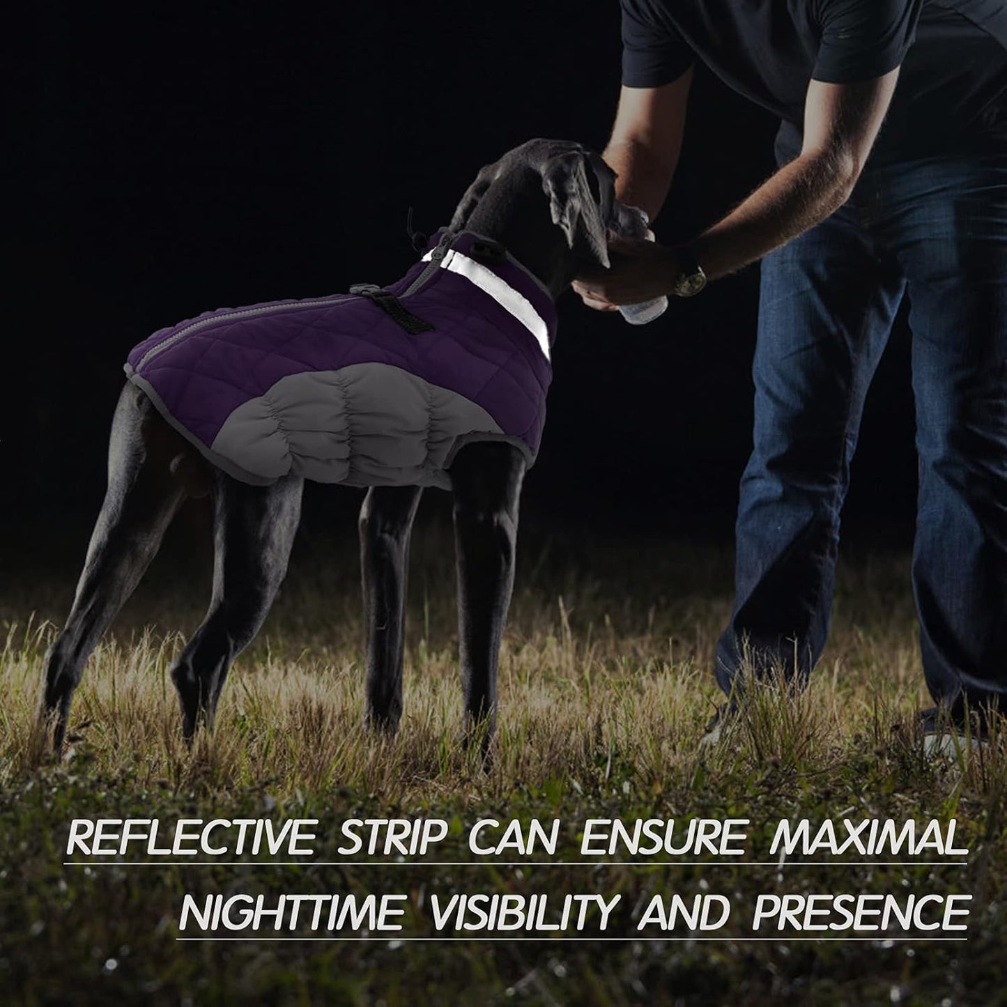Warm Waterproof Dog Coat with Reflective Strip