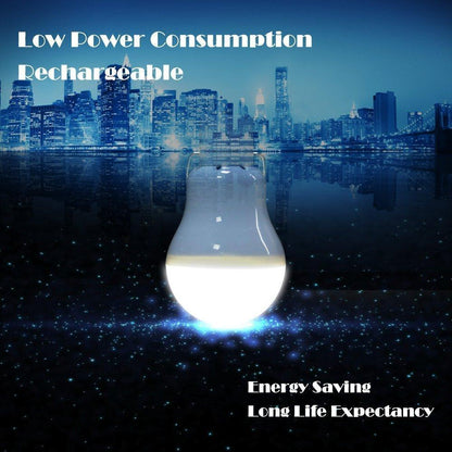 Eco Friendly Solar Powered LED Light Bulb