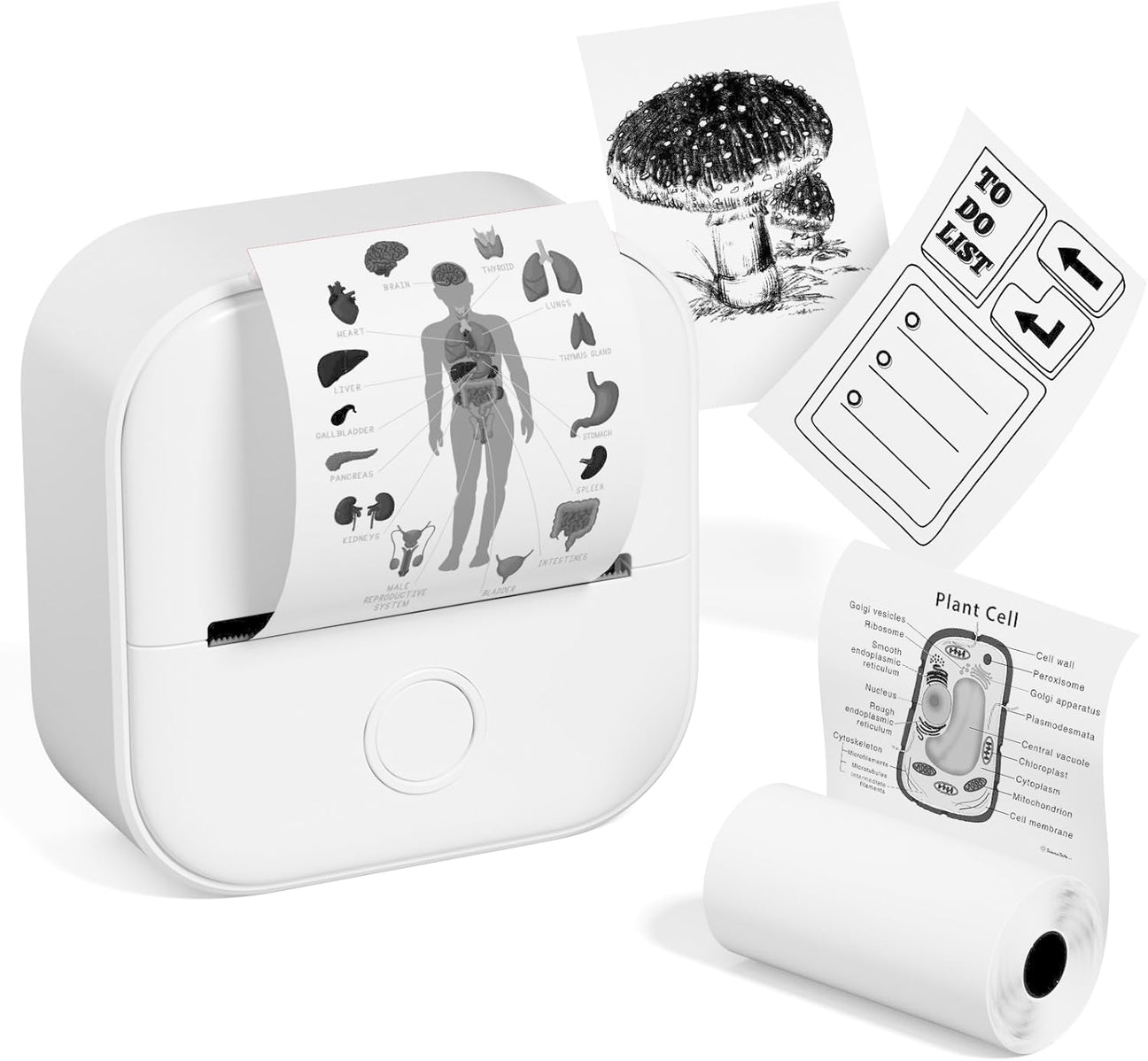 Portable Mini Printer with Free Paper Roll - Befez