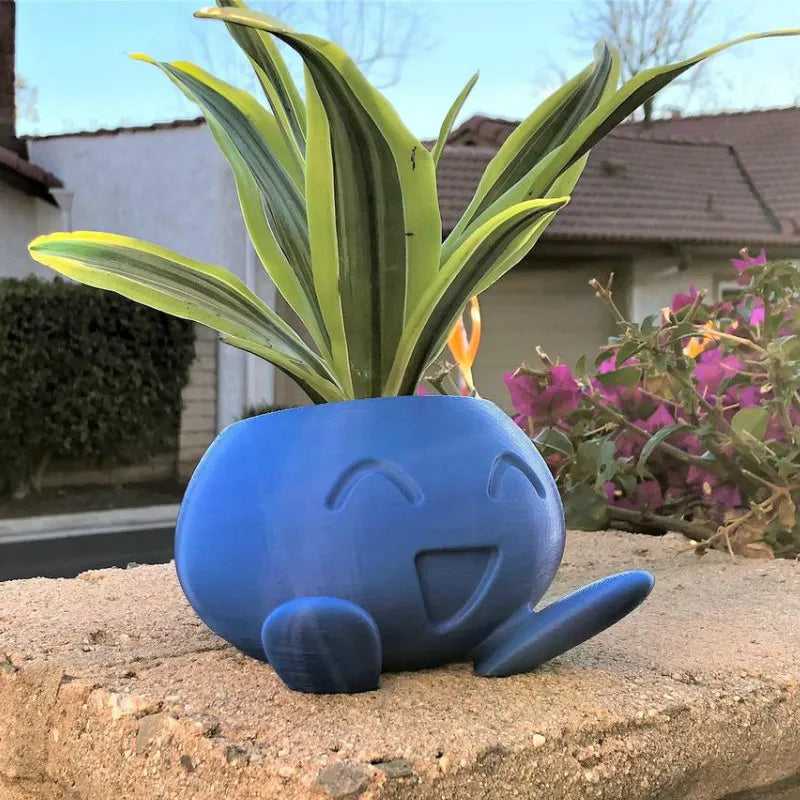 Colorful Planter Box for Happy Plants