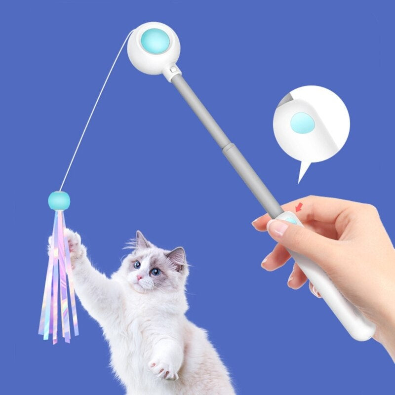 Fun Cat Wand Teaser Toy