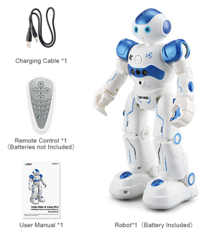 Smart RC Robot Toy