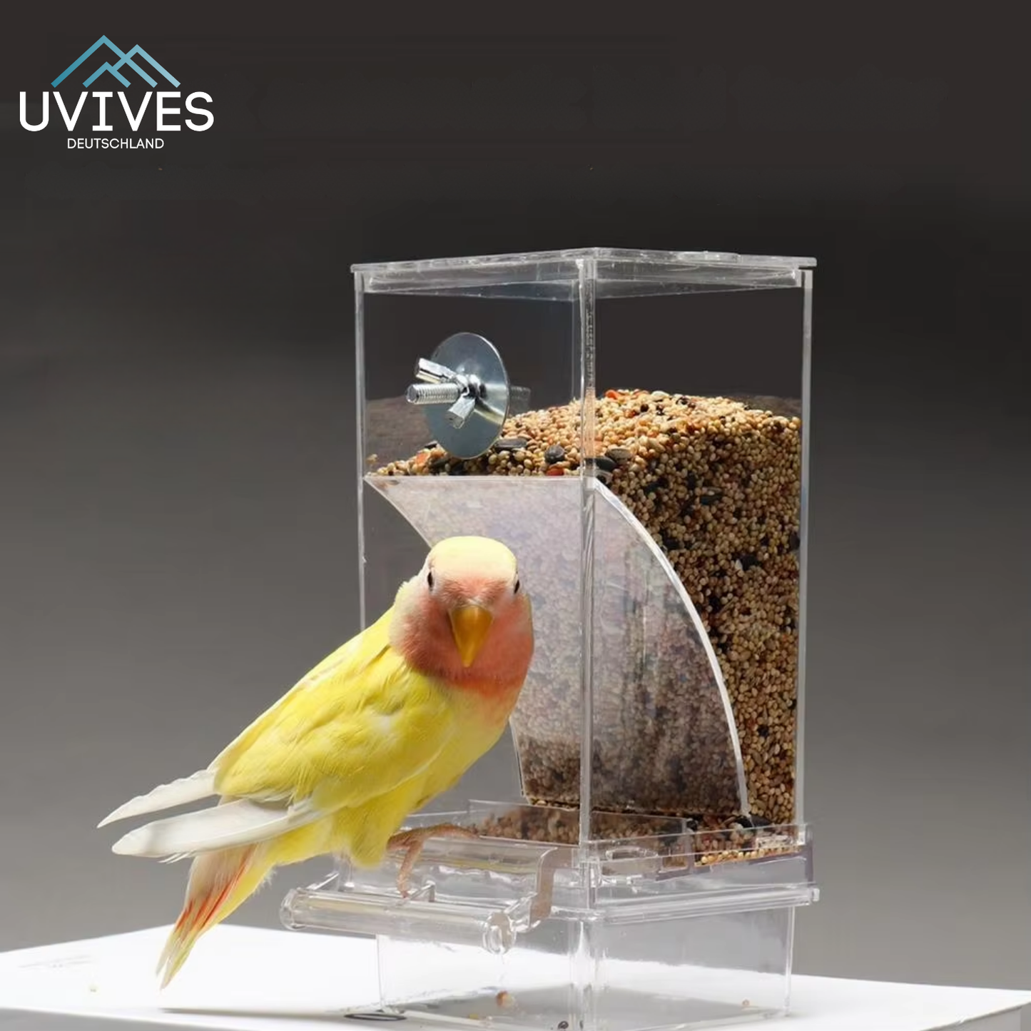 Easy Bird Feeder for Less Mess