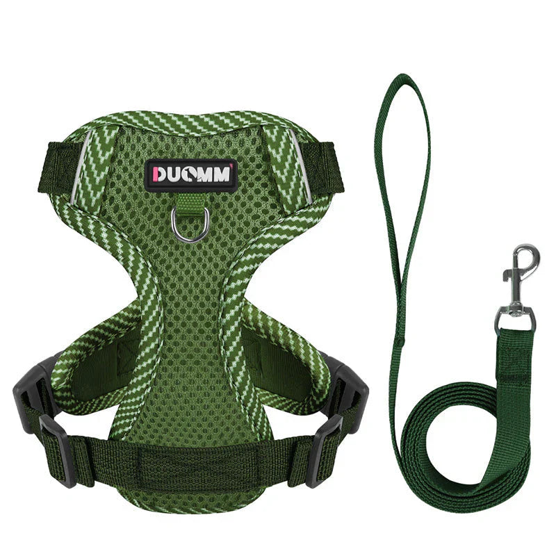 Visible Puppy Harness and Lead Set for Little Dogs