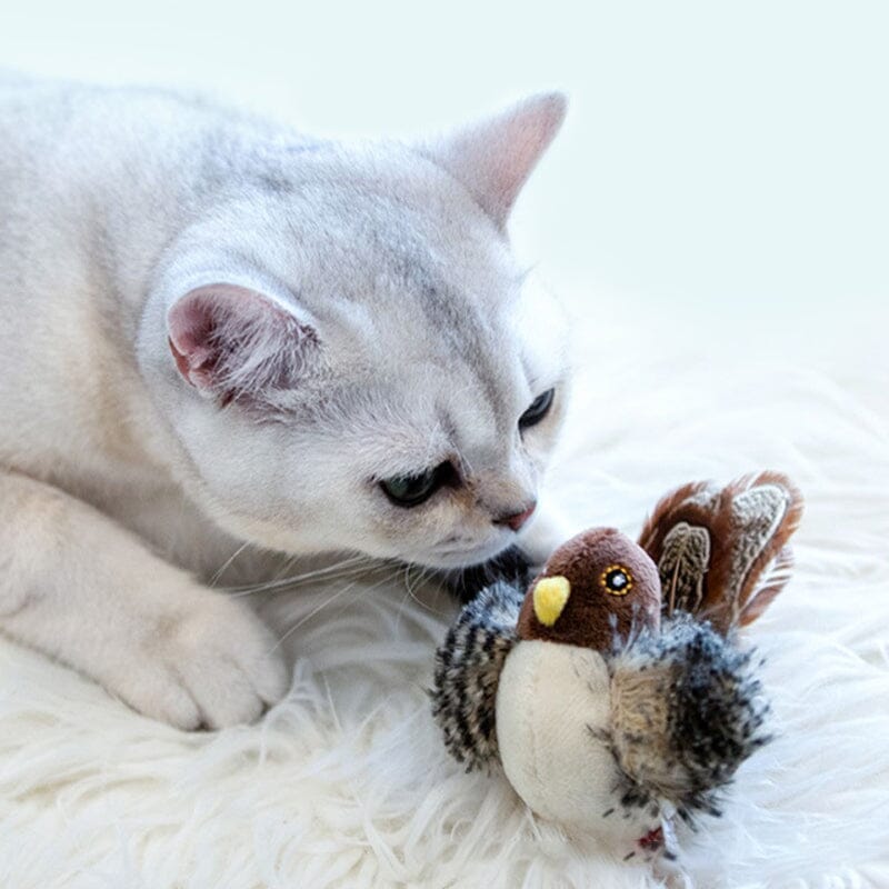 Fun Feather Teaser Toy