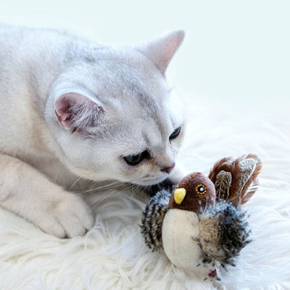 Fun Feather Teaser Toy