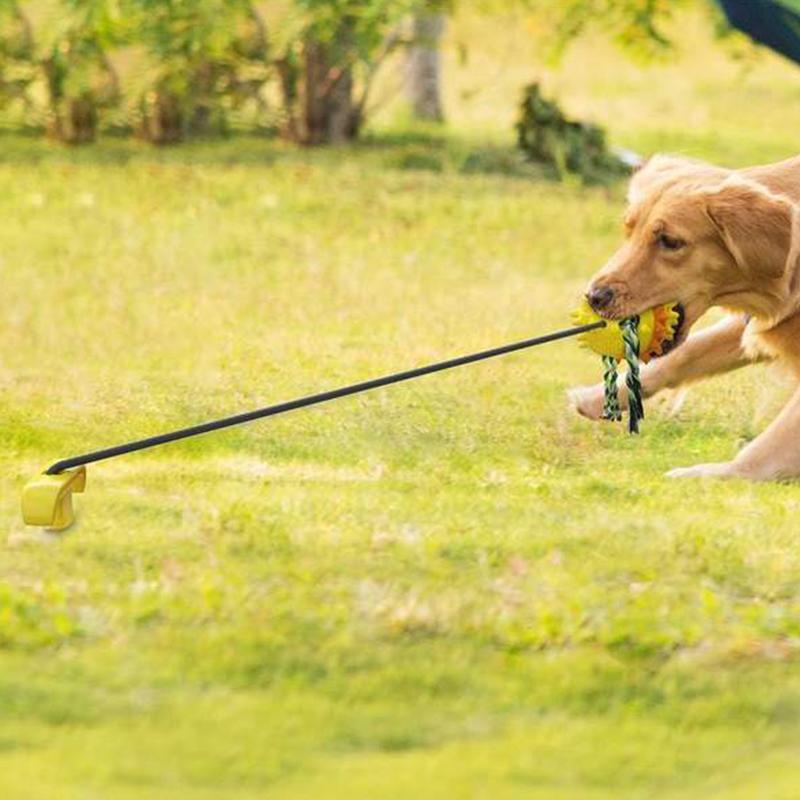 Fun Pet Rope Ball Toy
