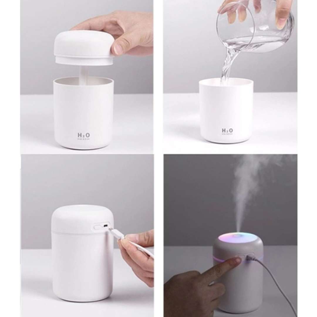 Compact Air Purifier Humidifier for Allergy Relief