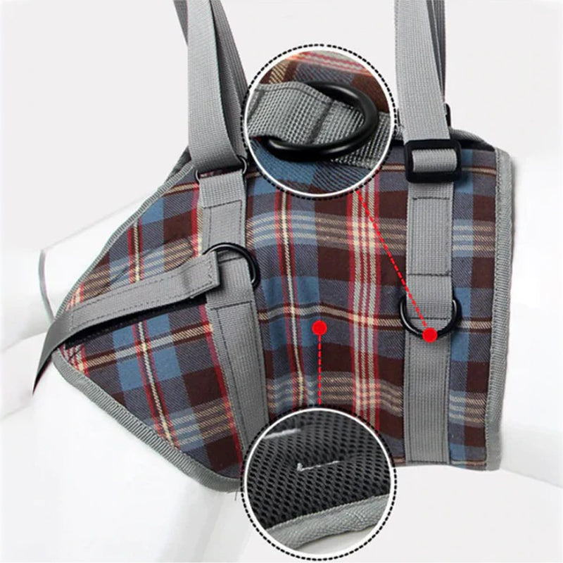 Supportive Dog Leg Brace Strap