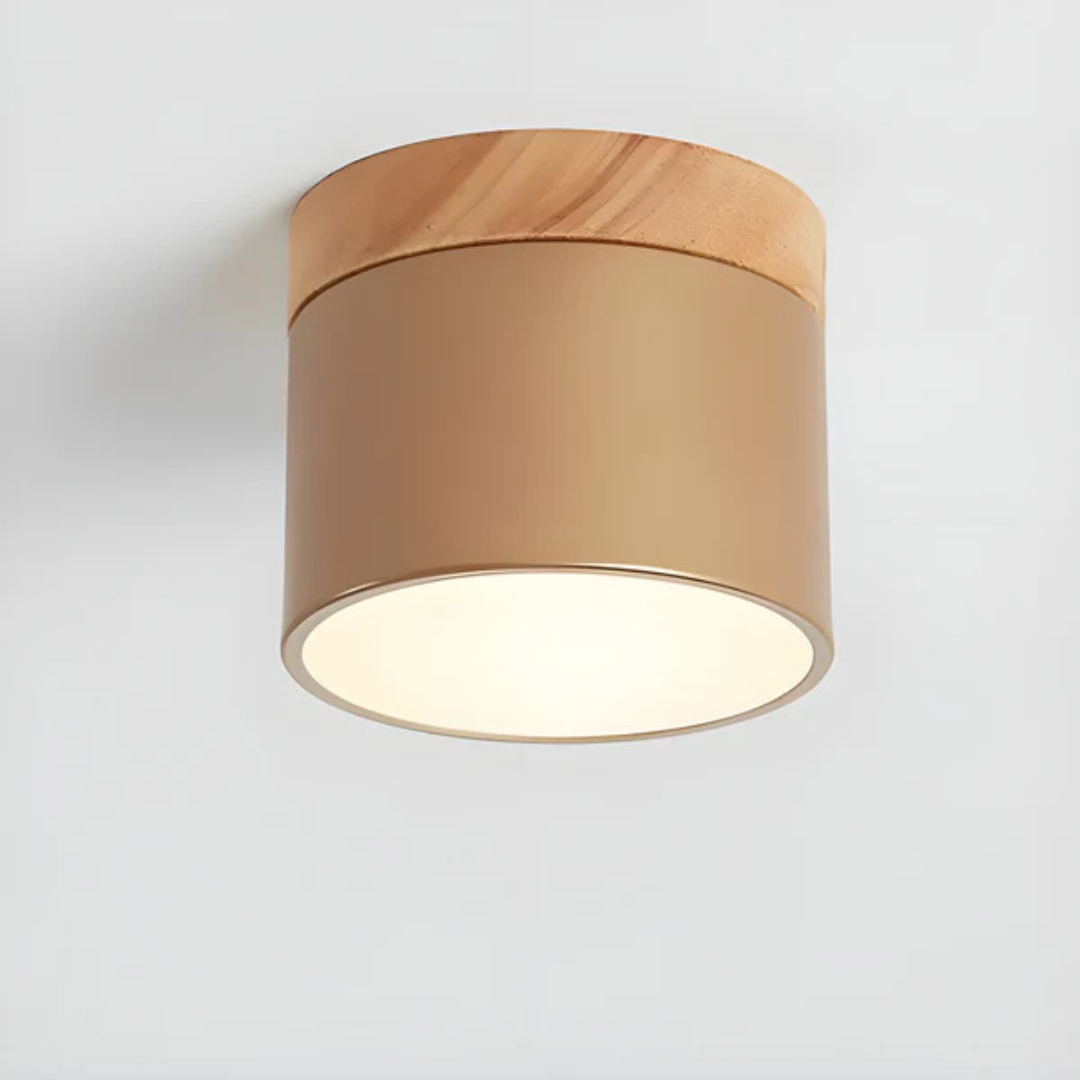 Classic Retro Style LED Light Fixture