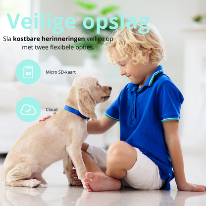 Befez Pet Monitoring Wi-Fi Camera