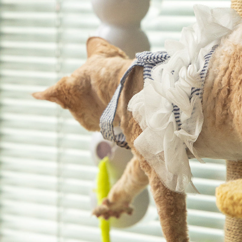 Fun Electronic Cat Toy Worm Teaser