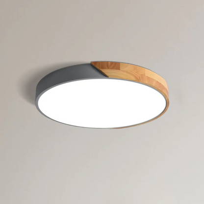 Modern Nordic LED Ceiling Light