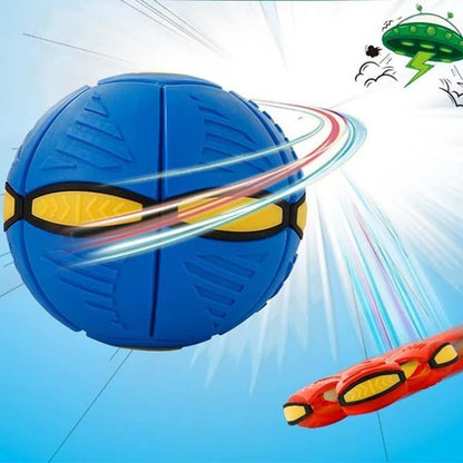 Fun Interactive Bouncy Ball Toy
