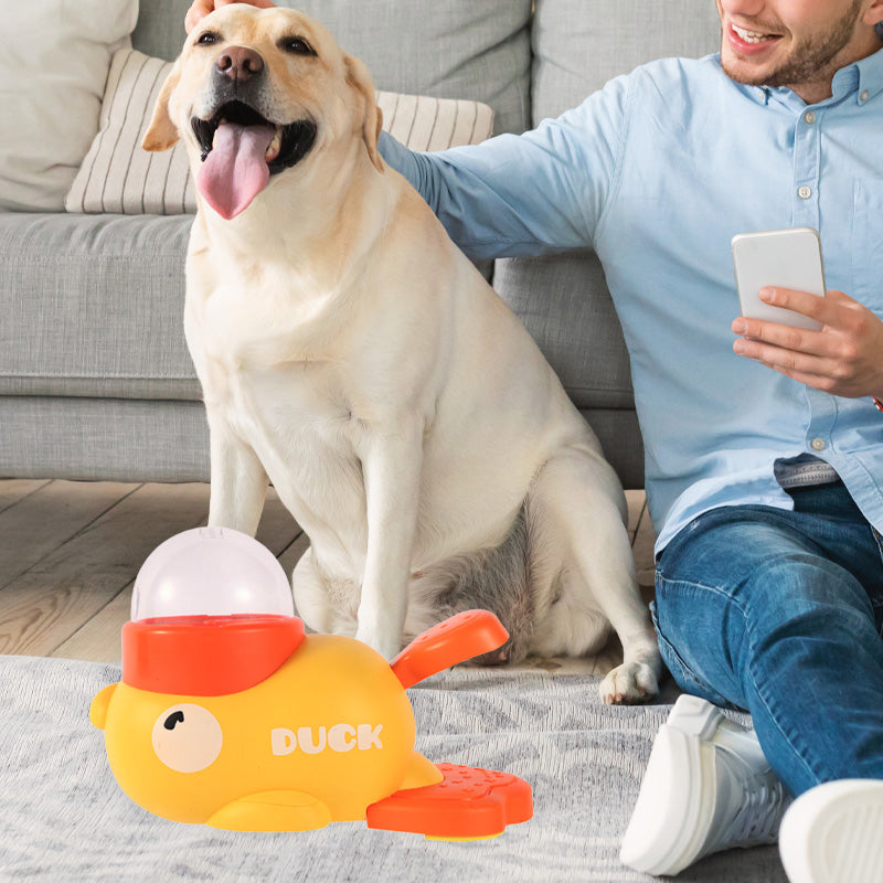 Befez | PawYum - Easy Clean Pet Feeding Mat