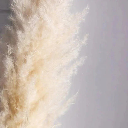 Soft Pampas Grass Decor Bouquet with Fluffy Feathers