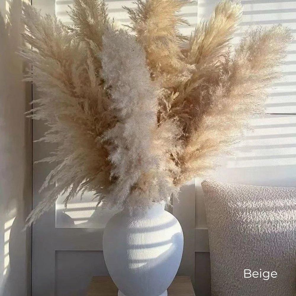 Soft Pampas Grass Decor Bouquet with Fluffy Feathers