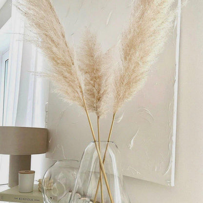 Soft Pampas Grass Decor Bouquet with Fluffy Feathers