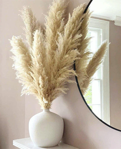 Soft Pampas Grass Decor Bouquet with Fluffy Feathers