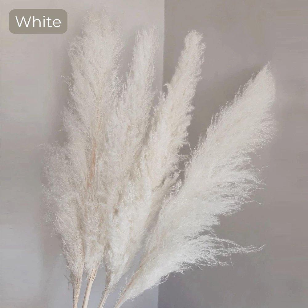 Soft Pampas Grass Decor Bouquet with Fluffy Feathers