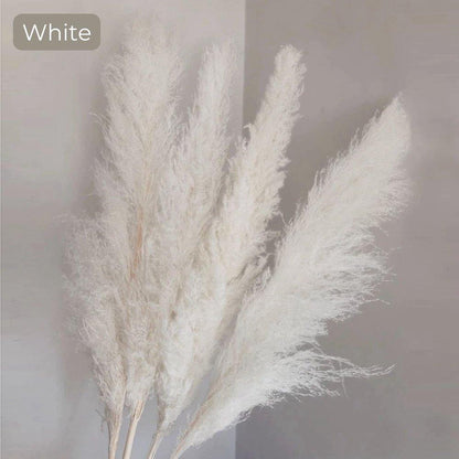 Soft Pampas Grass Decor Bouquet with Fluffy Feathers
