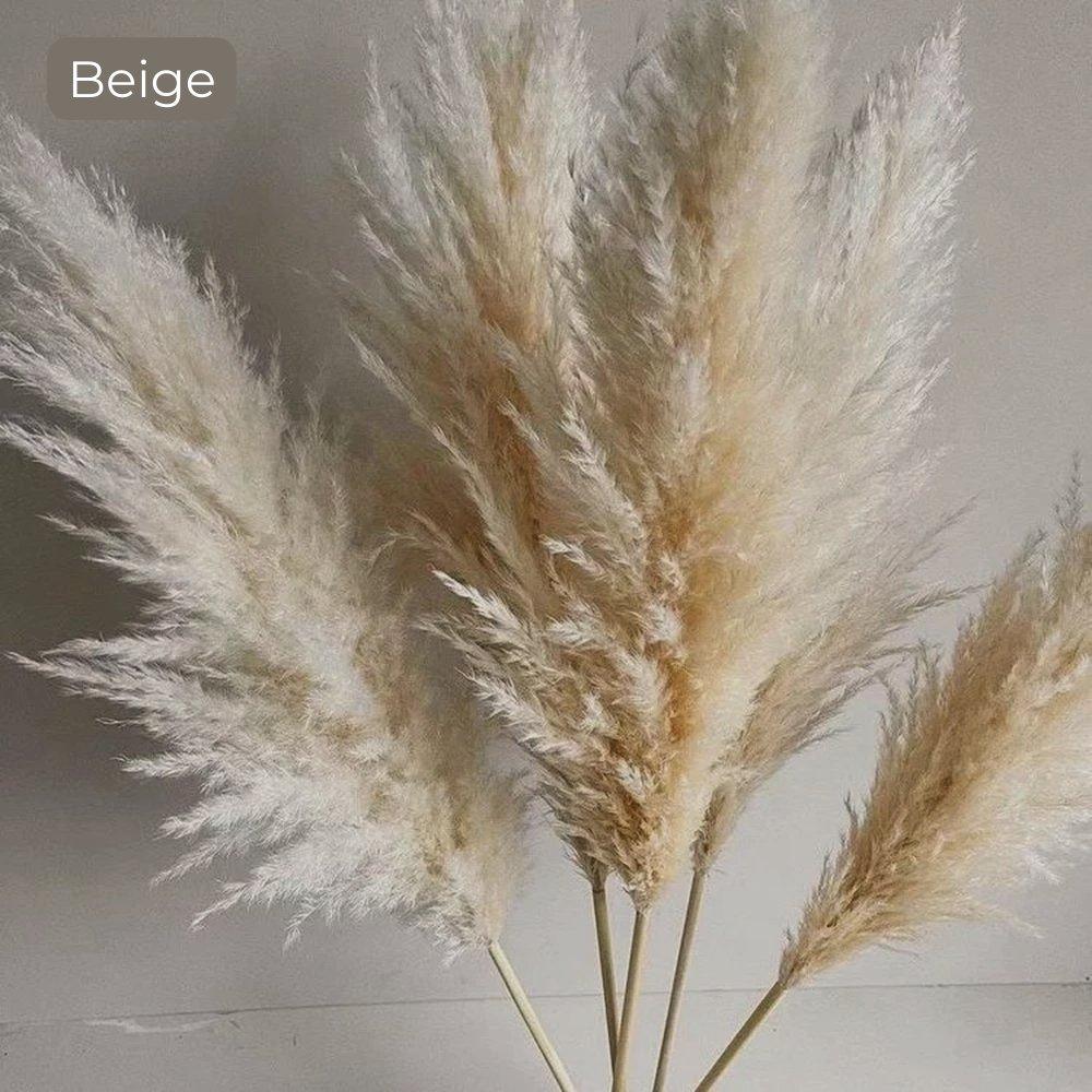 Soft Pampas Grass Decor Bouquet with Fluffy Feathers
