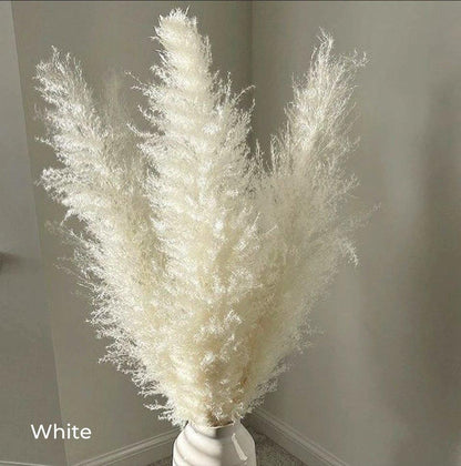 Soft Pampas Grass Decor Bouquet with Fluffy Feathers