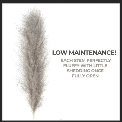 Soft Pampas Grass Decor Bouquet with Fluffy Feathers
