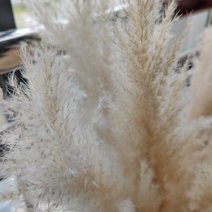 Soft Pampas Grass Decor Bouquet with Fluffy Feathers