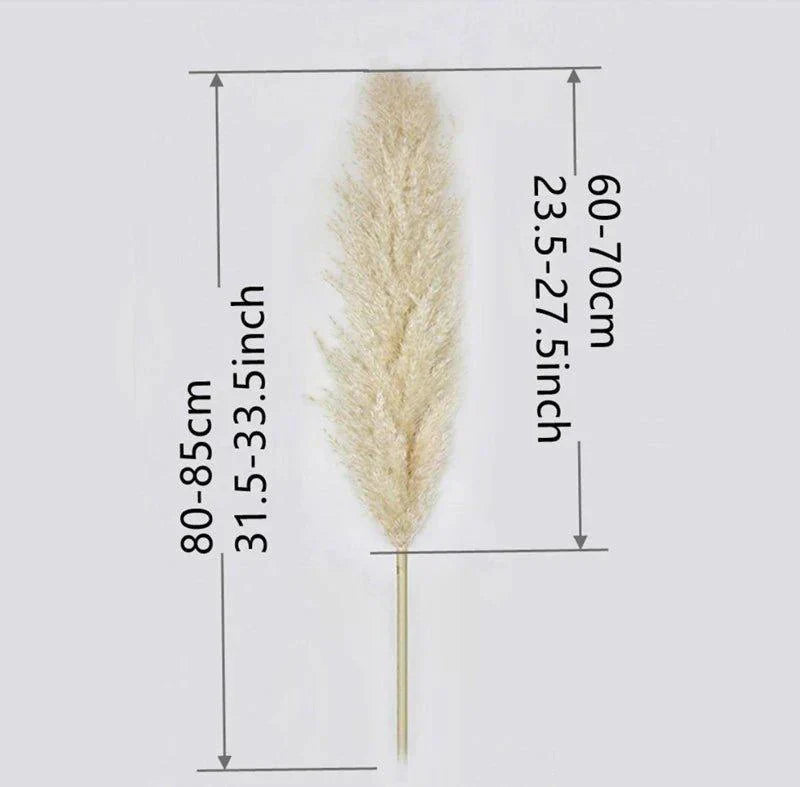 Soft Pampas Grass Decor Bouquet with Fluffy Feathers