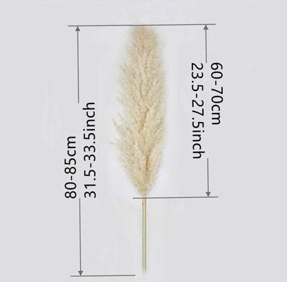 Soft Pampas Grass Decor Bouquet with Fluffy Feathers