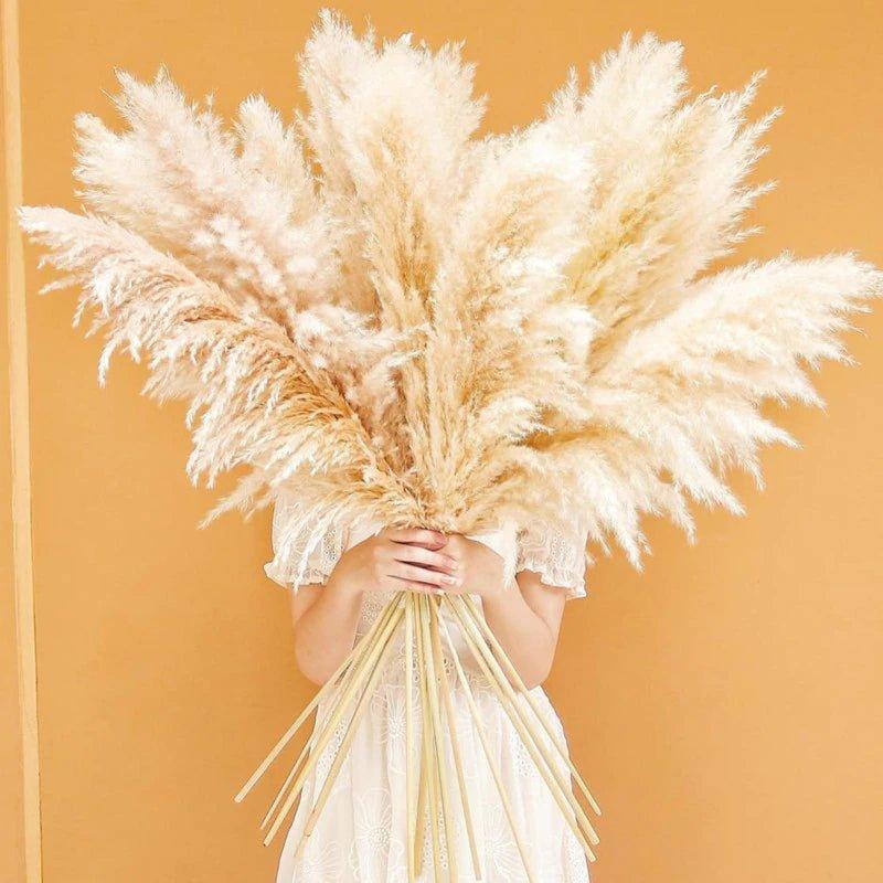 Soft Pampas Grass Decor Bouquet with Fluffy Feathers