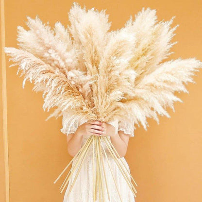Soft Pampas Grass Decor Bouquet with Fluffy Feathers