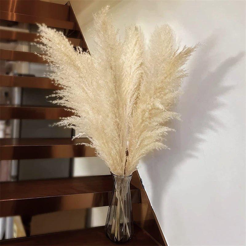 Soft Pampas Grass Decor Bouquet with Fluffy Feathers