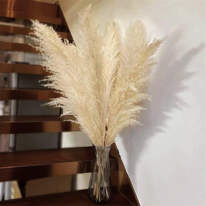 Soft Pampas Grass Decor Bouquet with Fluffy Feathers