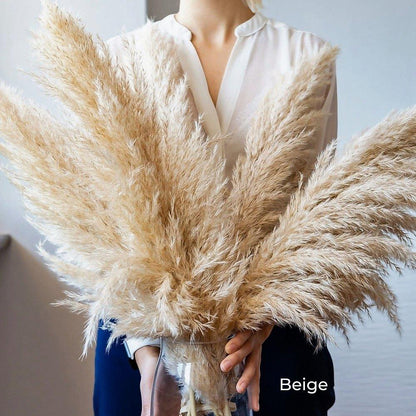 Soft Pampas Grass Decor Bouquet with Fluffy Feathers