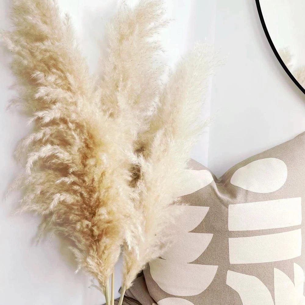Soft Pampas Grass Decor Bouquet with Fluffy Feathers