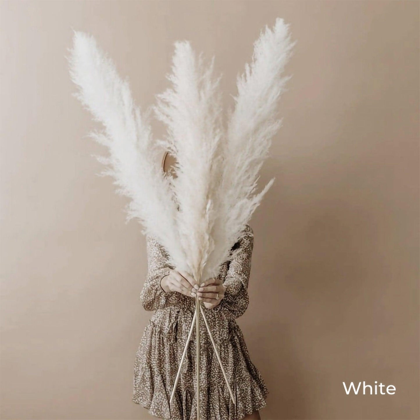 Soft Pampas Grass Decor Bouquet with Fluffy Feathers