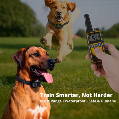 Befez Rechargeable Waterproof Dog Training Collar