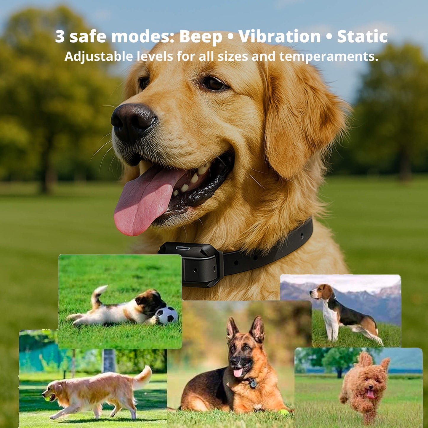 Befez Rechargeable Waterproof Dog Training Collar