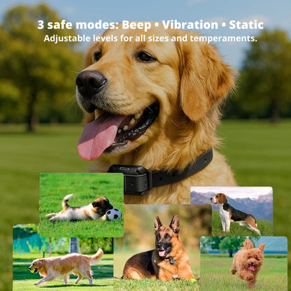 Befez Rechargeable Waterproof Dog Training Collar