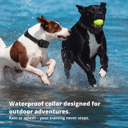 Befez Rechargeable Waterproof Dog Training Collar