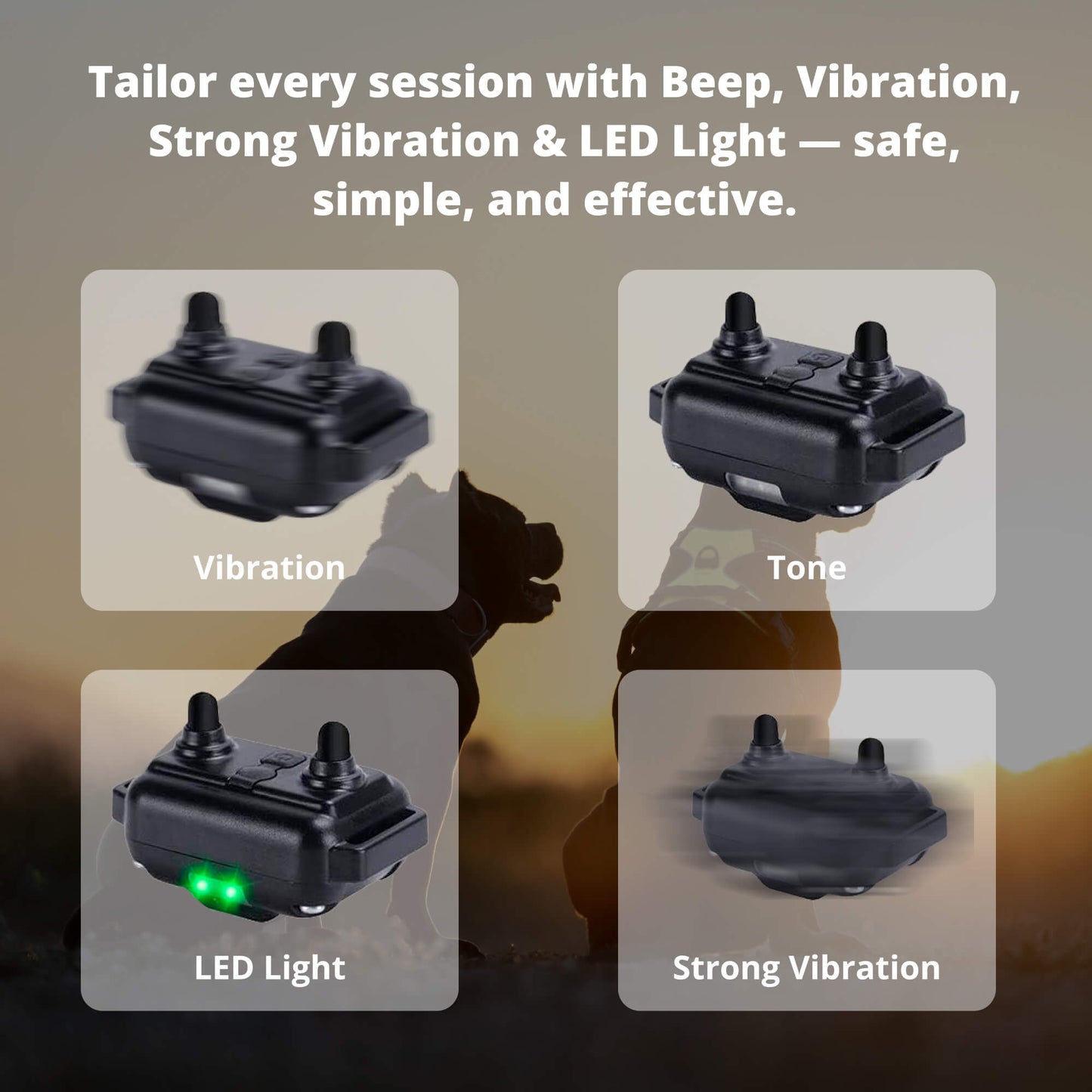 Befez Rechargeable Waterproof Dog Training Collar